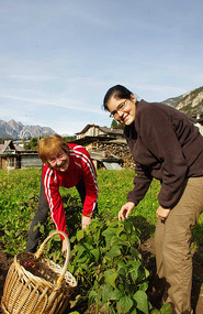 Forni di Sopra