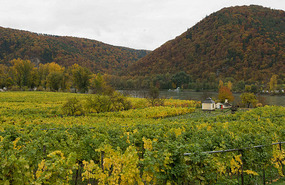 Wachau Valley