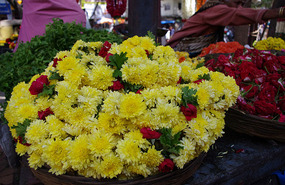 Bangalore
