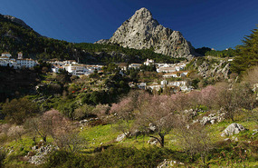 Grazalema