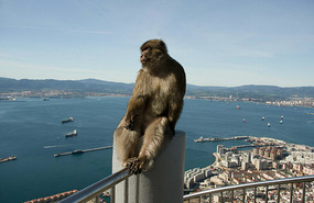 Gibraltar