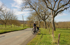 bike ride