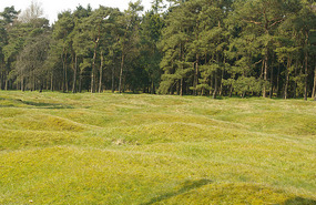 Vimy Ridge