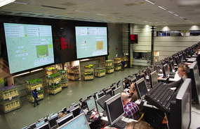 Flower Auction