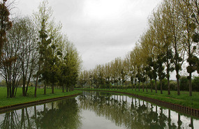 Canal de Bourgogne