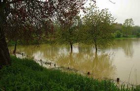 Flooding