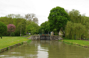 lateral canal