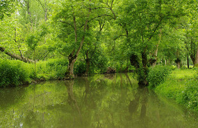 Marais Poitevin