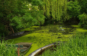 Marais Poitevin
