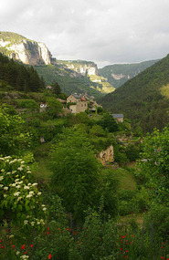 Jonte Gorge