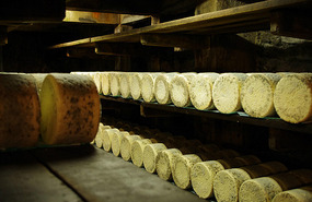 Roquefort