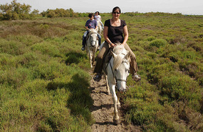 Camargue