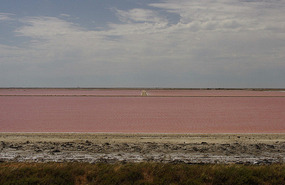 Camargue