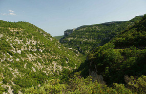 Gorge de la Nesque
