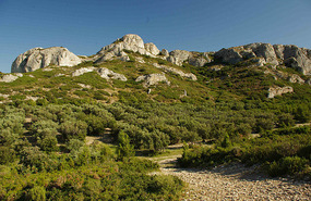 Alpilles