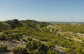 Alpilles