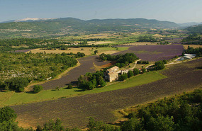 Sault