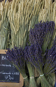 Vaison-la-Romaine