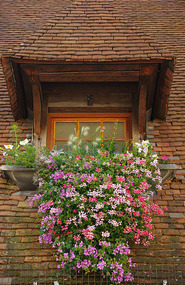 Beaune