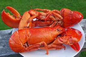 dinner!