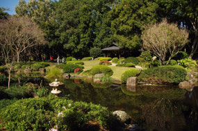 Botanic Gardens