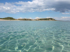 Monkey beach