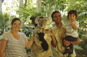 Meet a Koala