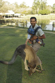 Meet a kangaroo