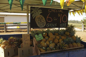 Pineapple stand