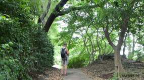 Video of our walk through the East Gardens