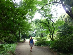 Mic walking in the Rikugien Garden