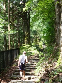 Climbing the many steps uphill