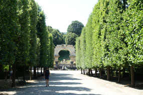 In the grounds of Schonbrunn Palace.