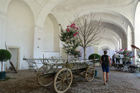 In side the orangery, Schonbrunn Palace