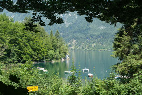 View of Lake Bohinj, Triglav National Park