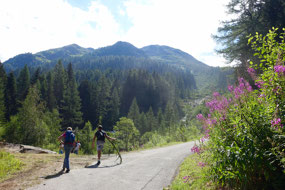 Walking in the Binn Nature Park