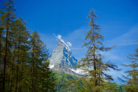 View from train