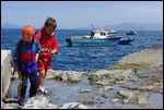 Finding Sea Creatures on Skellig Michael