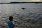 Liam calling in the dolphins