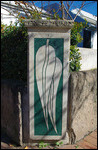 Eucalyptus leaves