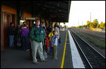 Singleton Train Station