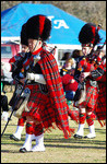 Check out this tartan!