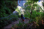 Hiking Down into the Gorge