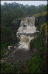 Ebor Falls, New South Wales