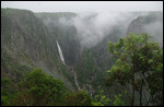 Wollomombi Falls, New South Wales