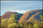 Kata-Tjuta in early evening light