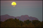 Moonset at dawn, Kata-Tjuta