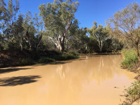 The muddy Bulloo