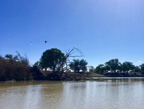 My first paddle on the Darling.