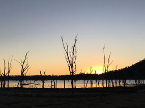 The sun setting over the lake
